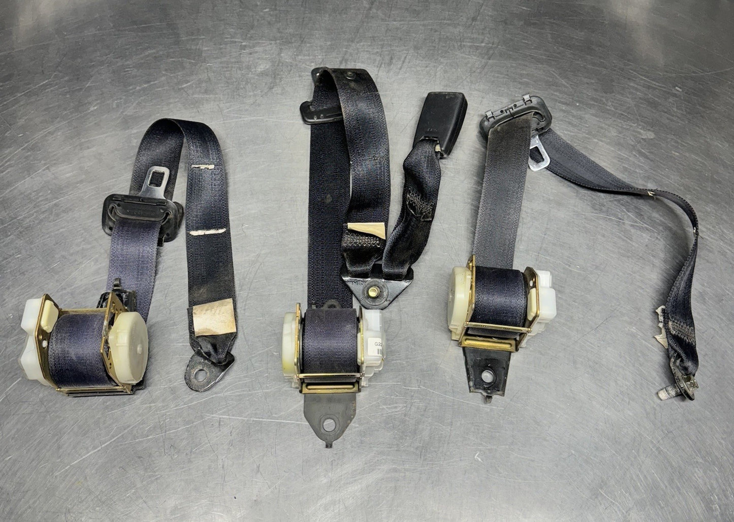 2001 - 2006 Nissan Sentra Drivers & Passengers Rear Seat Belts (OEM) Black  #1